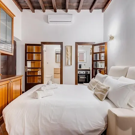 Giulio Cesare Deluxe - Spanish Step Romedreamhome شقة